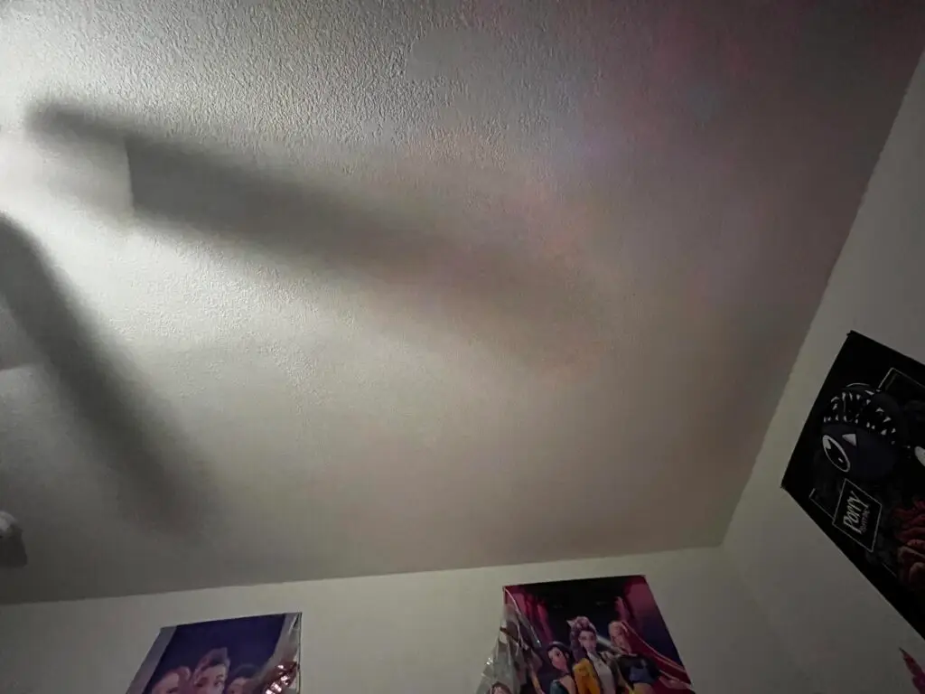Drywall Ceiling Repair and Mold Removal in Shasta Lake