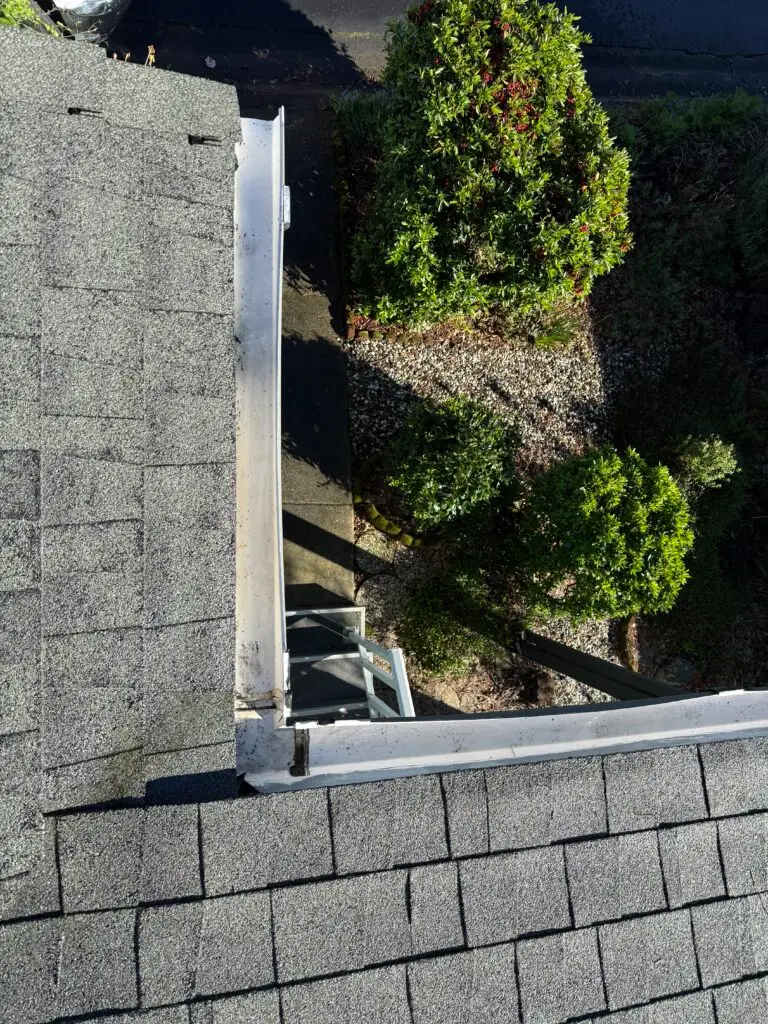 Roof and Gutter Cleaning for Seniors in Redding